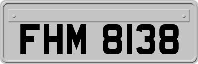 FHM8138