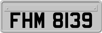 FHM8139