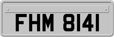 FHM8141