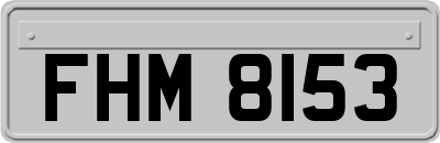 FHM8153