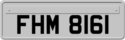 FHM8161