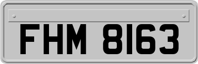 FHM8163
