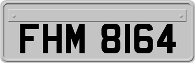 FHM8164