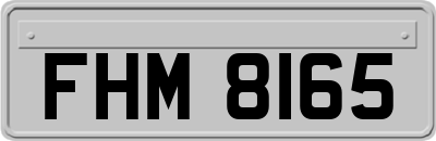 FHM8165