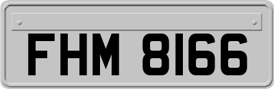 FHM8166