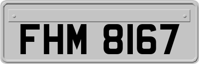 FHM8167