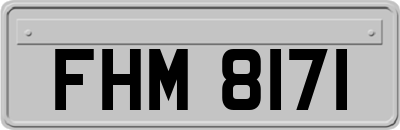 FHM8171