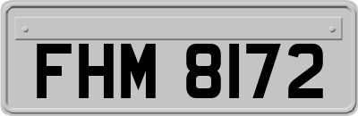 FHM8172