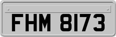 FHM8173