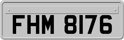 FHM8176