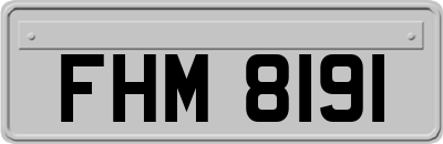 FHM8191