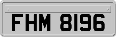 FHM8196