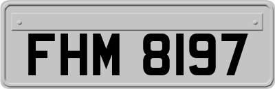FHM8197