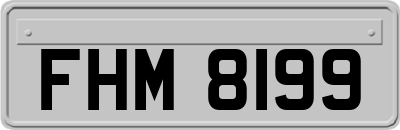 FHM8199