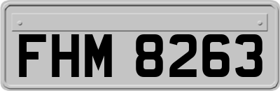 FHM8263