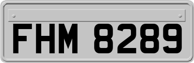 FHM8289