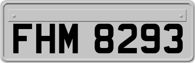 FHM8293