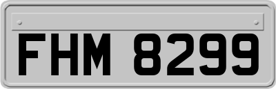 FHM8299
