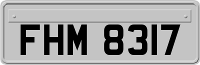 FHM8317