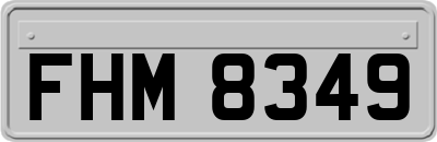FHM8349
