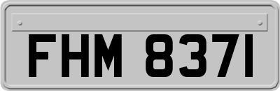 FHM8371