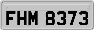 FHM8373