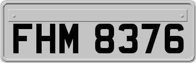 FHM8376