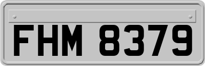 FHM8379