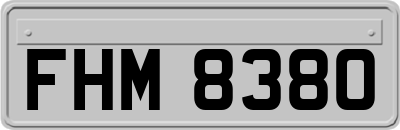 FHM8380