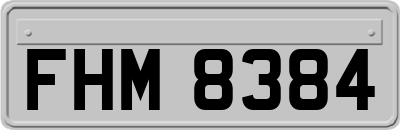 FHM8384