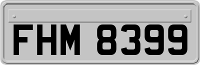 FHM8399