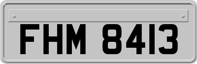 FHM8413
