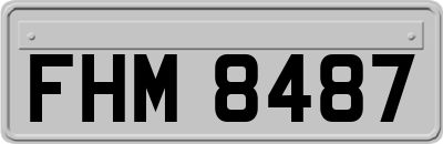 FHM8487