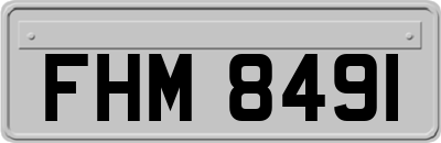 FHM8491