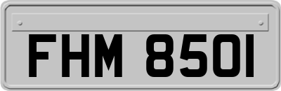 FHM8501