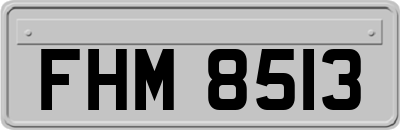 FHM8513