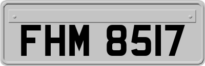 FHM8517