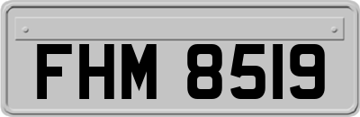 FHM8519