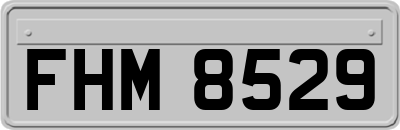 FHM8529