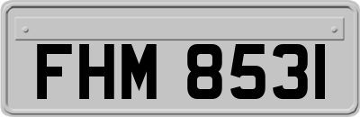 FHM8531