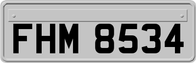 FHM8534
