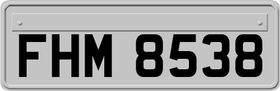 FHM8538