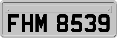 FHM8539