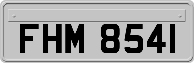 FHM8541