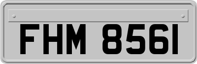 FHM8561