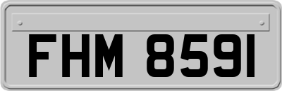 FHM8591