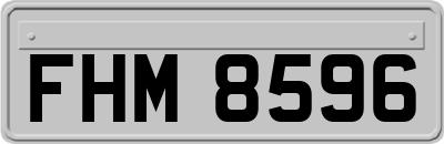 FHM8596