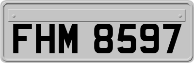 FHM8597