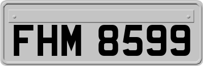 FHM8599