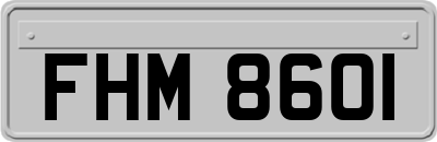 FHM8601